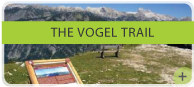 The Vogel trail