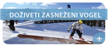 vogel-bohinj-ski-center.png