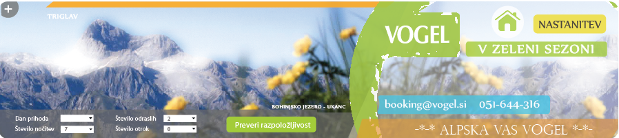 Nastanitev v Bohinju