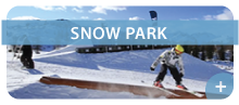 Snow park Vogel