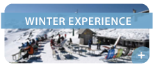 winter experience