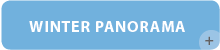 Winter panorama